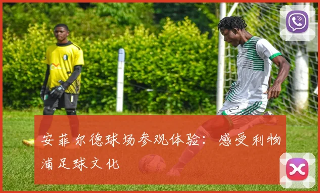 安菲尔德球场参观体验：感受利物浦足球文化