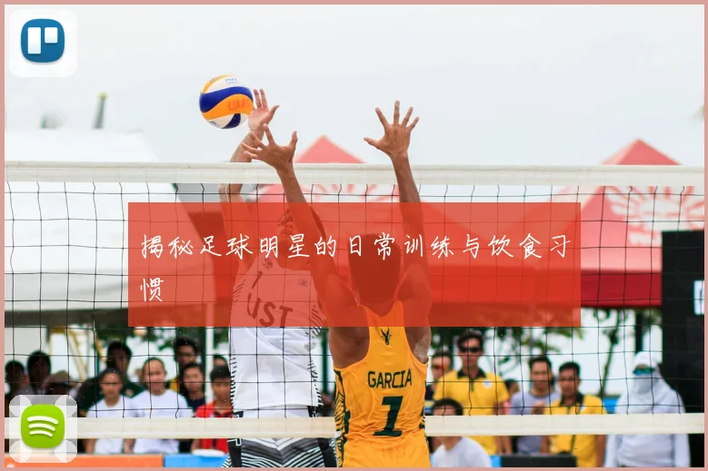揭秘足球明星的日常训练与饮食习惯
