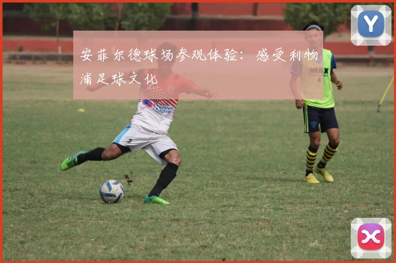 安菲尔德球场参观体验：感受利物浦足球文化